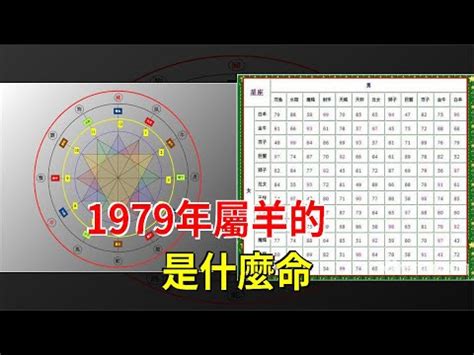 1979屬|【1979年 羊 五行】1979年「羊年運勢」：五行屬什麼？出生年運。